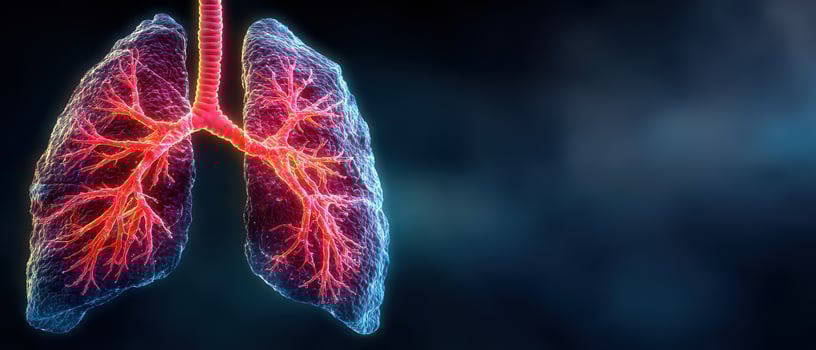 Understanding the structure and function of lungs photo
