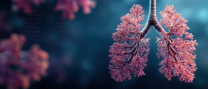 Vibrant lung illustration photo