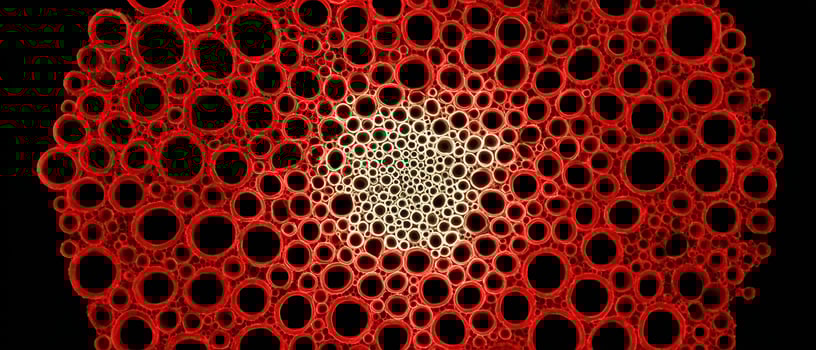 Colorful abstract patterns of circles and shapes photo