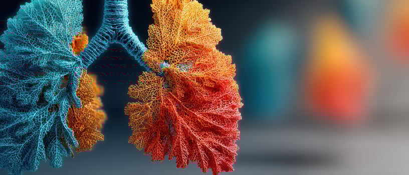 Vivid detailed illustration of lungs photo