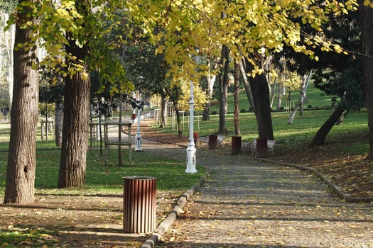 Autumn pathway in a tranquil park setting photo