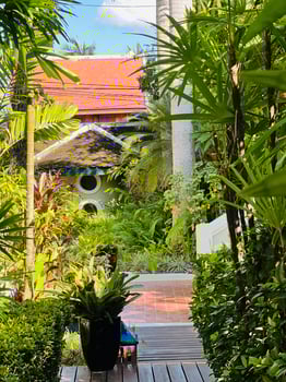 Lush tropical garden with various plants, including ferns and palms, surrounds a path leading to a building. photo
