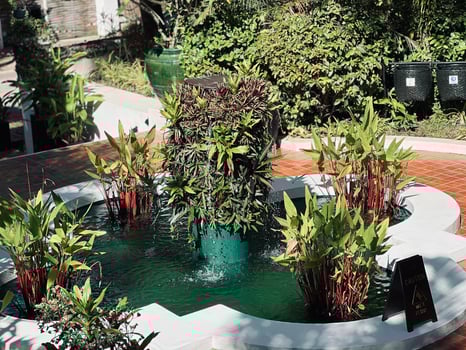 Circular water fountain surrounded by lush greenery, situated within a garden. photo
