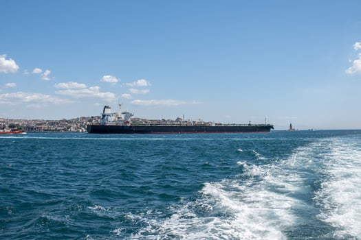 Cruise on the Bosphorus With Tanker Ships Sailing Under a Clear Blue Sky and Stunning City Views photo