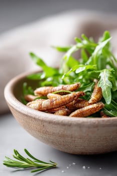 Crispy roasted suri larvae served with fresh herbs in rustic bowl on gray background photo