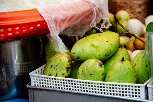 Green raw mango, organic mango from the orchard is placed for making a salad in Thailand. photo