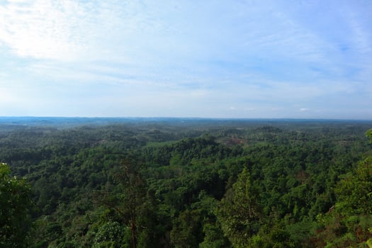 landscape photo of a view on a hill and a view, forest