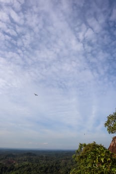 photo of green natural scenery from a hill with sky and a flying swallow