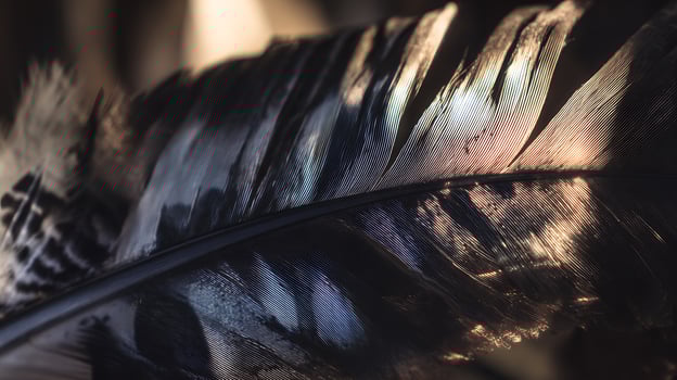 Close Up of a Majestic Feather With Iridescent Light and Shadows. photo
