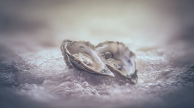 Two Opened Oysters with Pearls Resting on Bubbling Water. photo