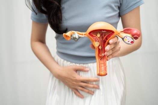 Uterus, Asian, woman holding human anatomy photo