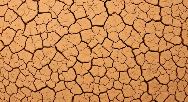 A close up of a cracked dry brown surface photo