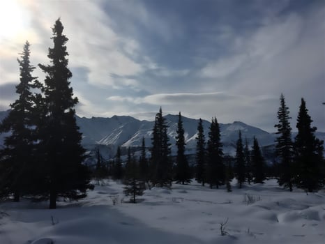travel, nature, tourism, beauty, sky, sun, landscape, clouds, winter, snow, low temperature tree photo