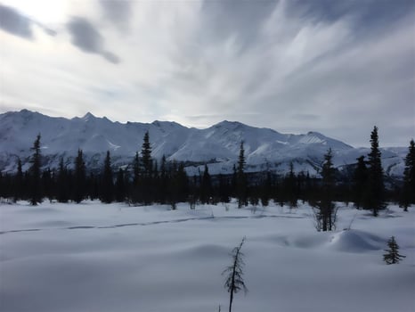 travel nature, tourism, beauty, sky, sun, landscape, clouds, winter, snow, low temperature, trees photo