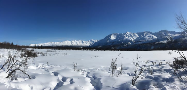 travel, nature, tourism, beauty, sky, sun, landscape, clouds, winter, snow, low temperature, trees photo