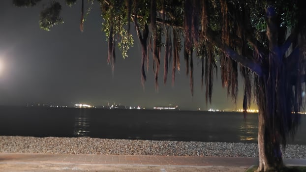 Coast before dawn photo