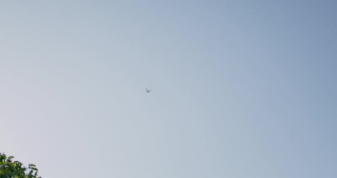 A plane flying in the sky above a tree photo