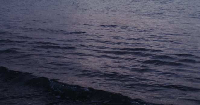 A person is flying a kite on the beach photo