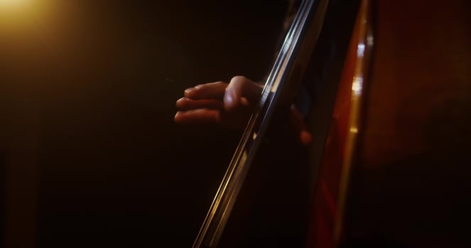 A person playing a cello in a dark room photo