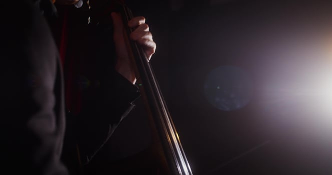 A person holding a cello in front of a light photo