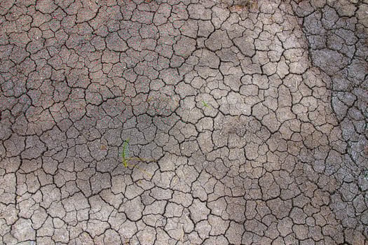 Top view of a cracked, dry soil surface with a pale brown tone and small blades of grass scattered in the gaps, suggesting environmental issues. photo
