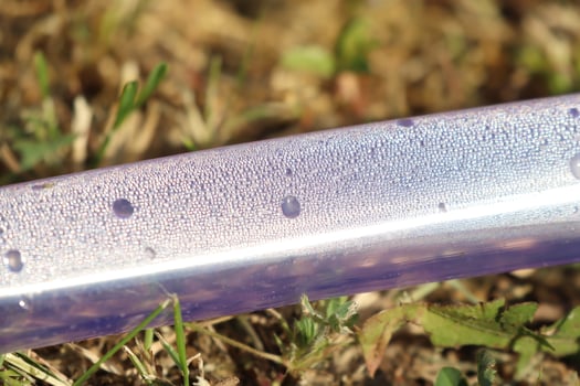 A colorful gellike object on green grass, showcasing its details and beauty to viewers photo