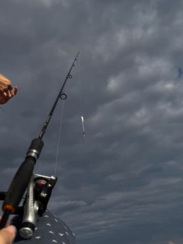 Fishing Rod Against Cloudy Sky photo