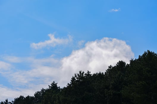 A blue sky with a few clouds and a few trees. The sky is clear and the trees are green photo