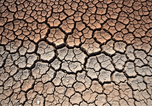 Top-Down Photo of Cracked Dry Mud Patterns