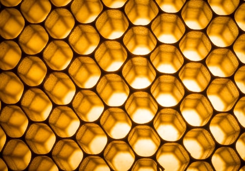 Macro Shot of Honeycomb with Golden Light photo
