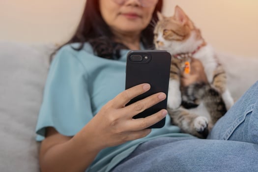 Happy mature woman sits on a sofa with a domestic cute cat on her lap and a smartphone in her hands. photo