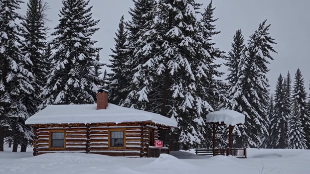 Rustic log cabin surrounded by snow covered evergreens, wooden real estate sign marking potential sale of serene woodland property during winter season photo