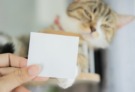 A cute brown and black striped cat with owner hand holding up a blank white paper. photo