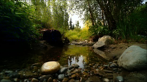 Peaceful forest stream flowing over smooth stones in dappled sunlight. photo
