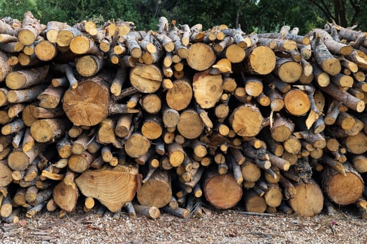 Pile of firewood in the mountains, closeup of photo