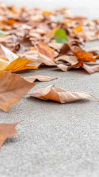 Golden Brown Autumn Leaves Scattered on Textured Ground A Serene Close-Up Capturing the Essence of Fall's Tranquil Beauty and Natural Decay photo