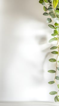 Lush Green Vine Against a Serene White Wall Elegant Botanical Decor for Tranquil Interiors and Minimalist Spaces, Capturing Natural Light and Organic Beauty photo