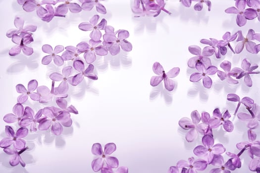 Abstract background with water and flowers. Space for the text. photo