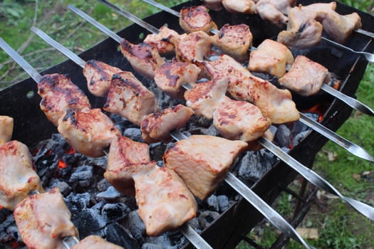 shashlik. Cooking meat coals. picnic. barbecue. rest. Food in nature photo