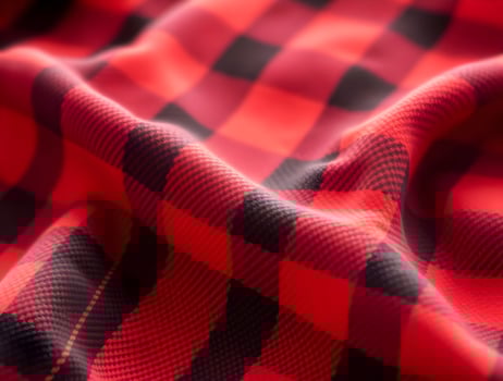 Red and Black Plaid Fabric Texture CloseUp Detail photo