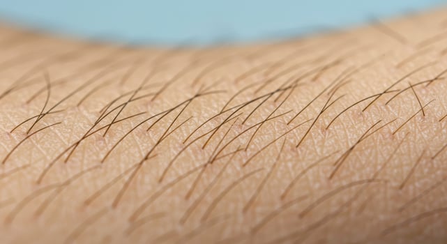 Close-up of human skin with hairs, detailed texture and body parts photo