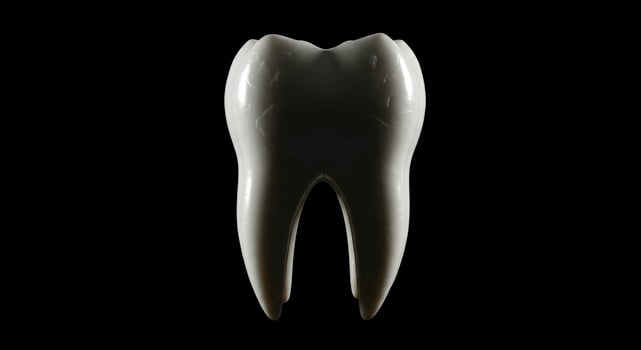 Realistic 3D Render of a Tooth Isolated on a Black Background photo