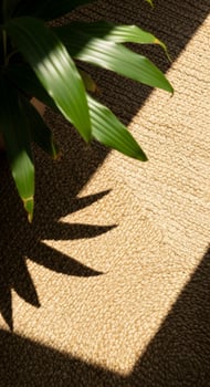 A shadow of a plant on a carpet photo