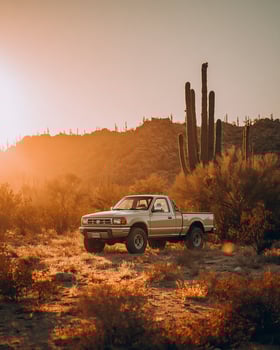 Stationary Pickup Truck Next to Cactus in Arid Landscape with Soft Lighting photo