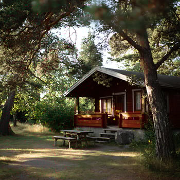 Cozy Wooden Cabin Nestled Among Tall Trees in Sunny Summer Forest. photo