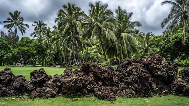 Tropical paradise with palm trees and unique lava rock formations. photo