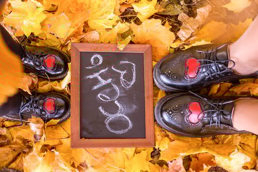 Autumn fall holiday background with pumpkin orange leaves. mockup photo