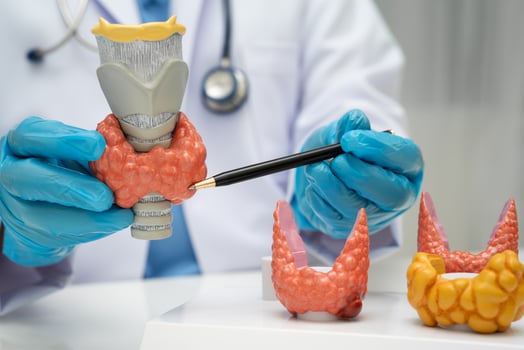 Hyperthyroidism, Overactive Thyroid, Thyroid Lymphoma, Asian doctor with thyroid gland human anatomy model in hospital. photo