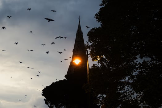 A captivating scene of Mysterious Twilight featuring graceful Birds and an iconic Tower photo