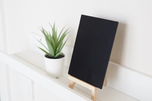 Minimalist display. plant and black canvas in sunlight photo